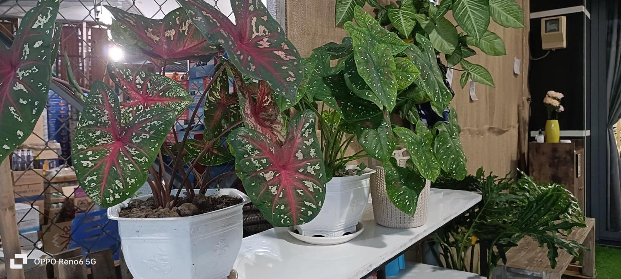 Homestay -Nha Me Khang Ho Chi Minh City Bagian luar foto